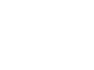 client_laceclips